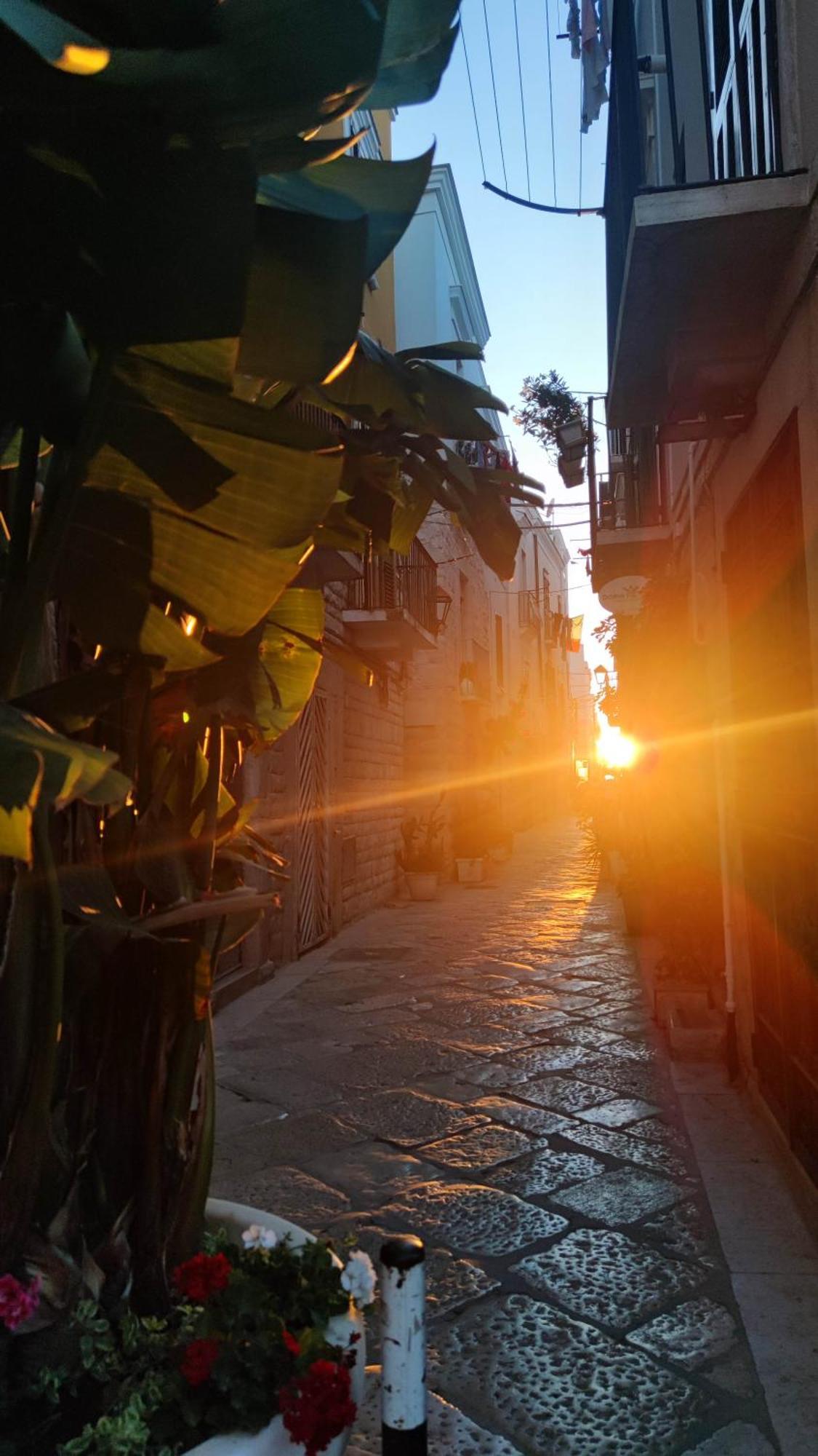 Dolce Terra Mia Daire Trani Dış mekan fotoğraf